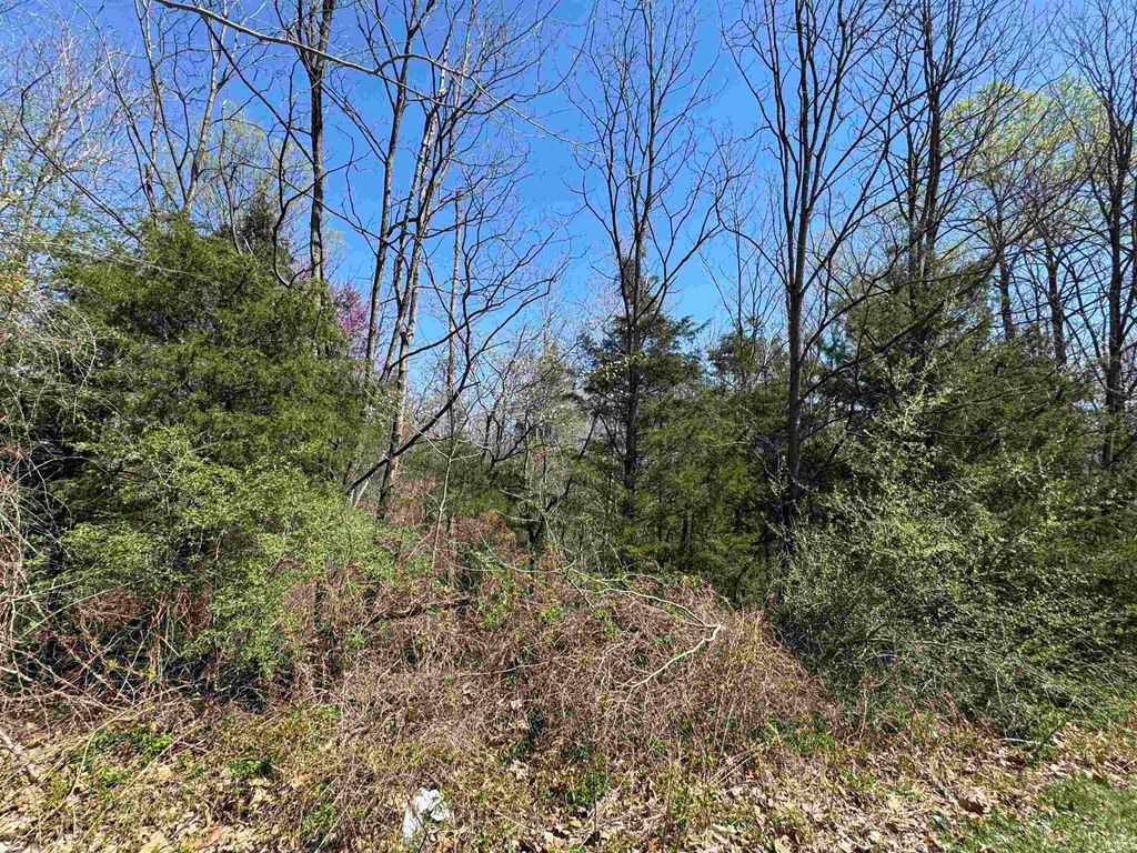 Photo of Lot B-21 Highway 46, Spencer, IN 47460 (MLS # 202613664)