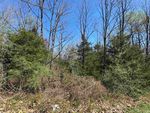 Lot B-21 Highway 46 property photo