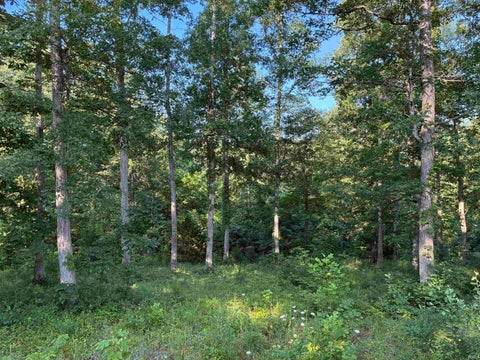 Tiny photo for 140+/- Ac off Eastlake Drive, Bedford, IN 47421 (MLS # 202628517)