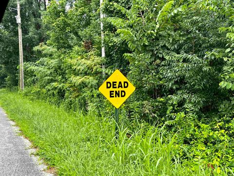 Tiny photo for E McCormick Road, Leavenworth, IN 47137 (MLS # 202602650)