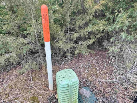 Tiny photo for E McCormick Road, Leavenworth, IN 47137 (MLS # 202602650)