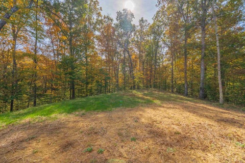 Tiny photo for 475 Wychwood Drive, Nashville, IN 47448 (MLS # 202644923)