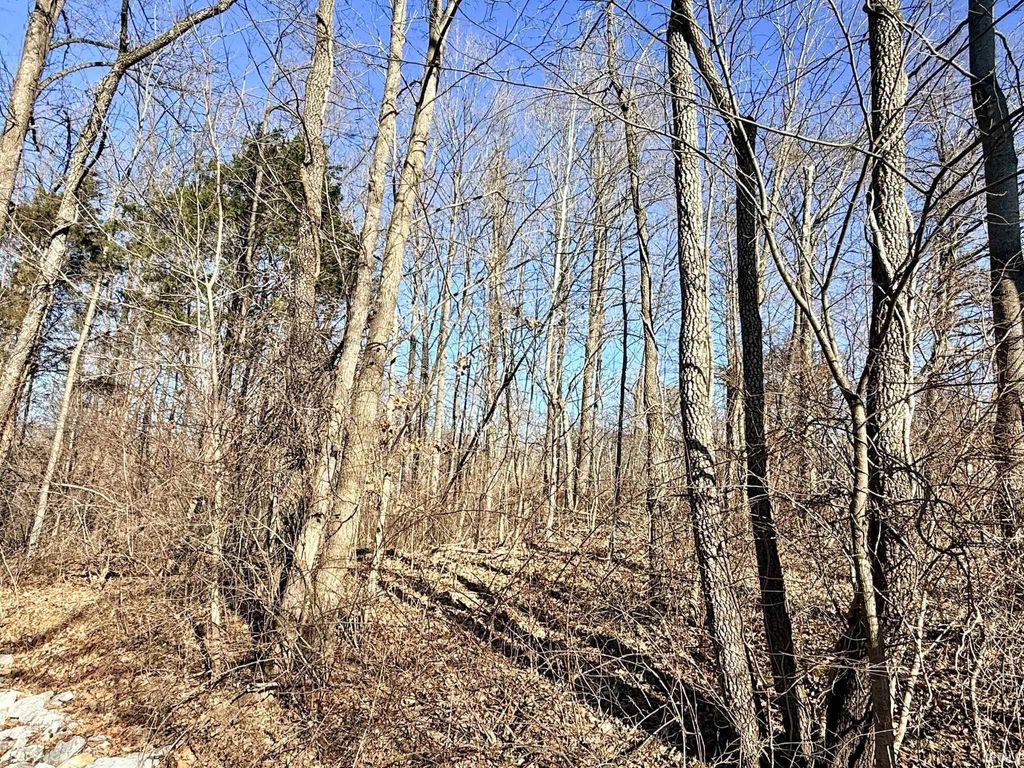 Photo of TBD Riley Boulevard, Bedford, IN 47421 (MLS # 202602012)