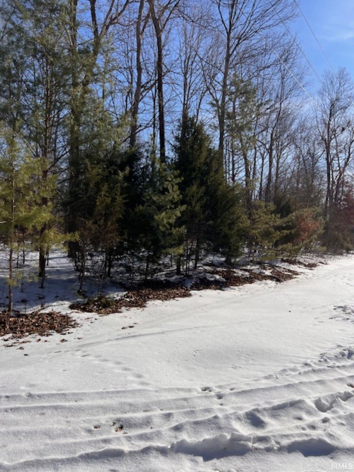 Listing image 1