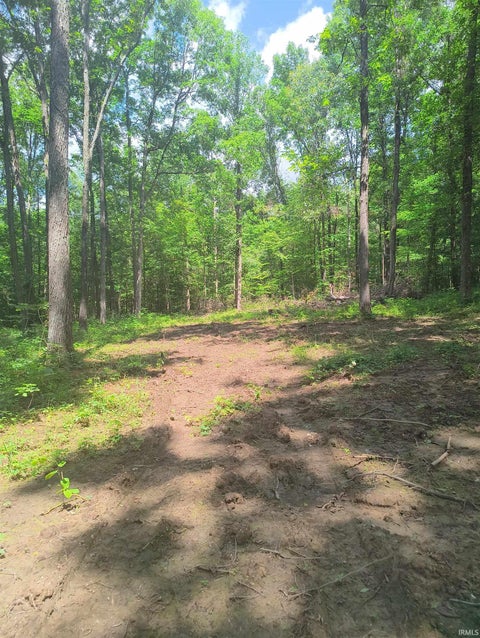 Tiny photo for 2500 S Coalmine Road, Bloomfield, IN 47424 (MLS # 202643896)