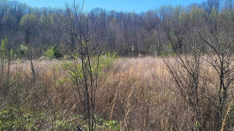 Tiny photo for 2500 S Coalmine Road, Bloomfield, IN 47424 (MLS # 202643896)
