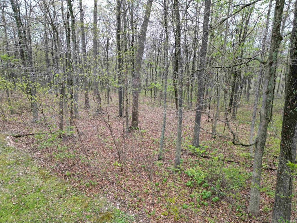 Photo of Tract 4 E Pine Road Common, Bloomfield, IN 47424 (MLS # 202614935)