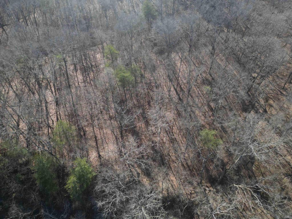 Photo of Tract 3 Co. Rd. S 900 Road, Stendal, IN 47585 (MLS # 202610000)