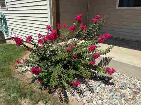 Tiny photo for 602 Nancyk Crossing, Roanoke, IN 46783 (MLS # 202627911)