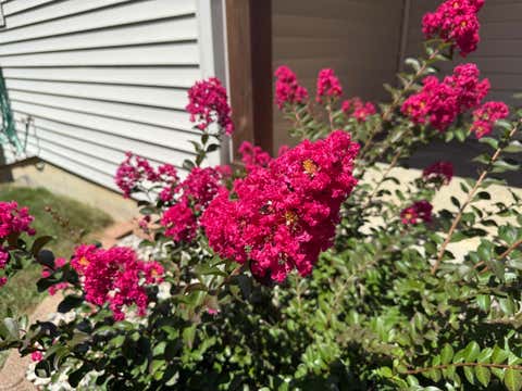 Tiny photo for 602 Nancyk Crossing, Roanoke, IN 46783 (MLS # 202627911)