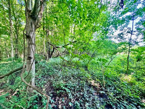 Tiny photo for East 200 N County Road, Logansport, IN 46947 (MLS # 202523216)