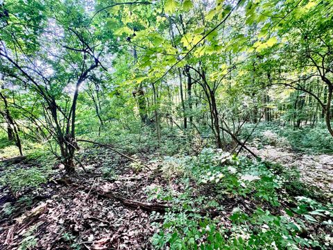 Tiny photo for East 200 N County Road, Logansport, IN 46947 (MLS # 202523216)