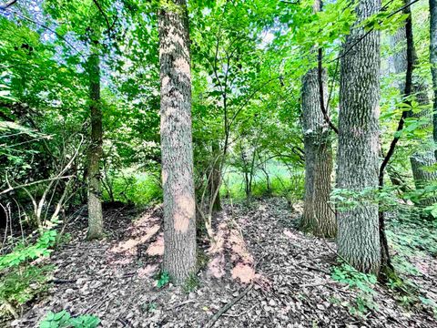 Tiny photo for East 200 N County Road, Logansport, IN 46947 (MLS # 202523216)