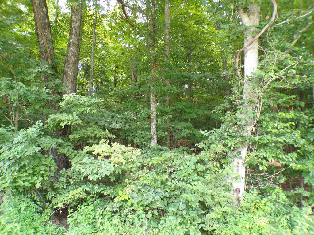 Photo of 0 S Co Rd 350 W Boulevard, Paoli, IN 47454 (MLS # 202632054)