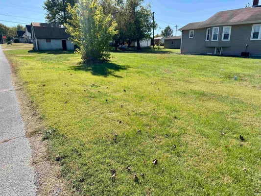 310 DALE ST, OAKLAND CITY, IN 47660 - Image d47fcb13e252476f88625cd8a2f85821/2799986411