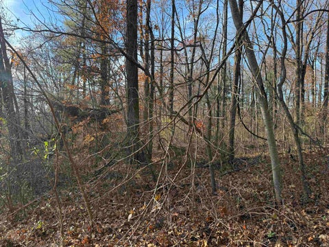 Tiny photo for 12747 High Gap Road, Shoals, IN 47581 (MLS # 202546285)