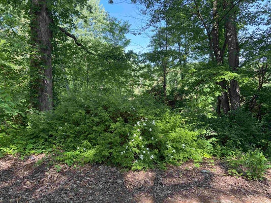 LAKEWOOD DR, SOUTH BEND, IN 46628 - Image d4b514b064f6a7c08bfa86ab8b60532b/637175662