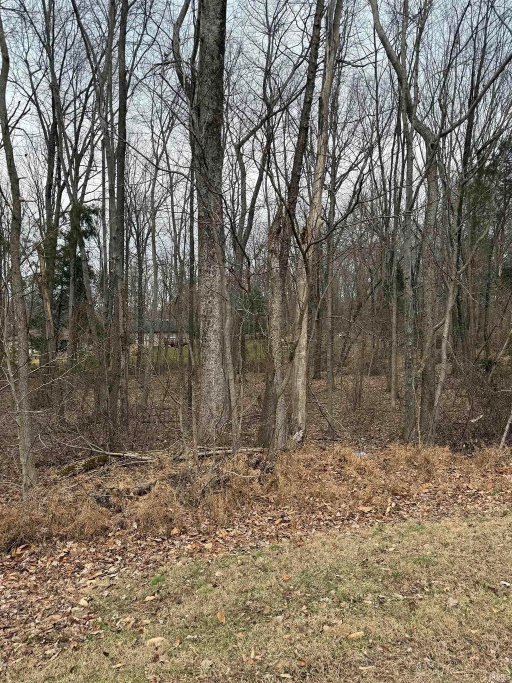 Photo of W Silent Lots 132-133 Lane, Santa Claus, IN 47579 (MLS # 202549809)