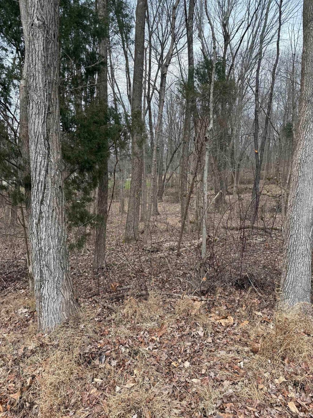 Photo of W Silent Lots 132-133 Lane, Santa Claus, IN 47579 (MLS # 202549809)