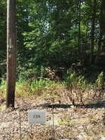 0 Frank Hemmer Drive property photo