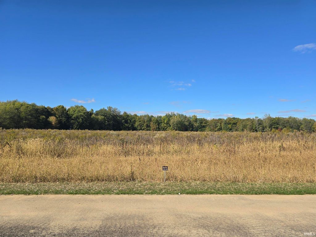 Photo of Lot 10 County Road 17 Drive, Auburn, IN 46706 (MLS # 202541345)