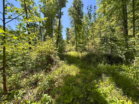 Tiny photo for 7761 E State Road 54, Bloomfield, IN 47424 (MLS # 202617506)