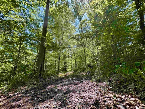 Tiny photo for 7761 E State Road 54, Bloomfield, IN 47424 (MLS # 202617506)