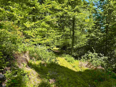 Tiny photo for 7761 E State Road 54, Bloomfield, IN 47424 (MLS # 202617506)