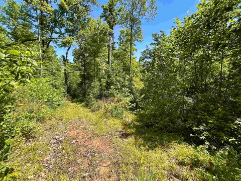 Tiny photo for 7761 E State Road 54, Bloomfield, IN 47424 (MLS # 202617506)