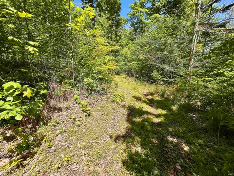 Tiny photo for 7761 E State Road 54, Bloomfield, IN 47424 (MLS # 202617506)