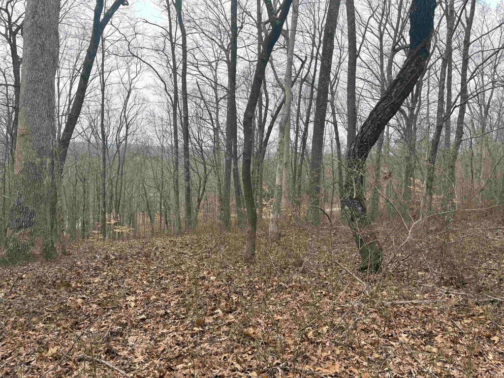 Photo of Campton Road, Birdseye, IN 47513 (MLS # 202608559)