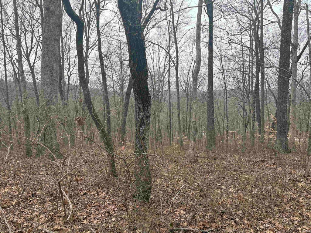 Photo of Campton Road, Birdseye, IN 47513 (MLS # 202608559)