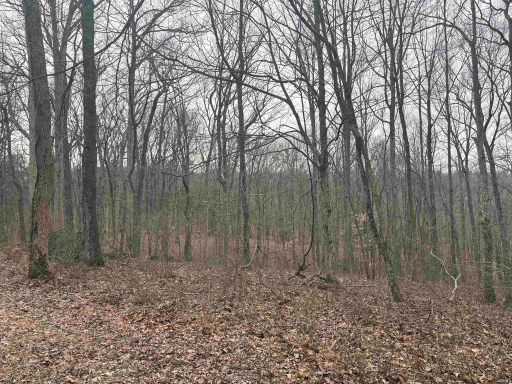 Photo of Campton Road, Birdseye, IN 47513 (MLS # 202608559)