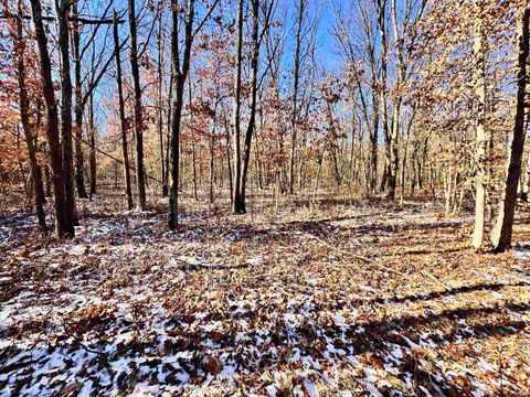 Tiny photo for West 500 S County Road, North Judson, IN 46366 (MLS # 202606425)