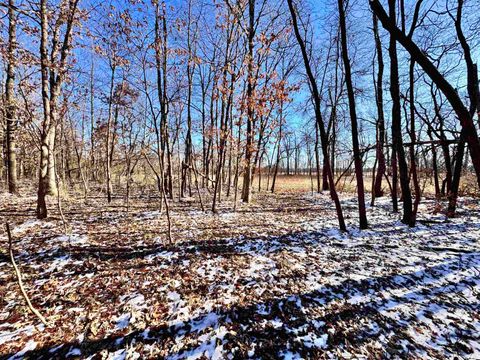 Tiny photo for West 500 S County Road, North Judson, IN 46366 (MLS # 202606425)