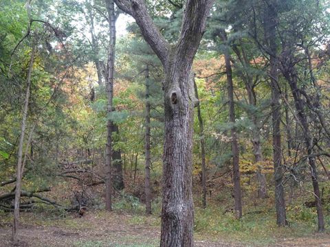 Tiny photo for 8553 S Main Street, Ora, IN 46968 (MLS # 202541882)