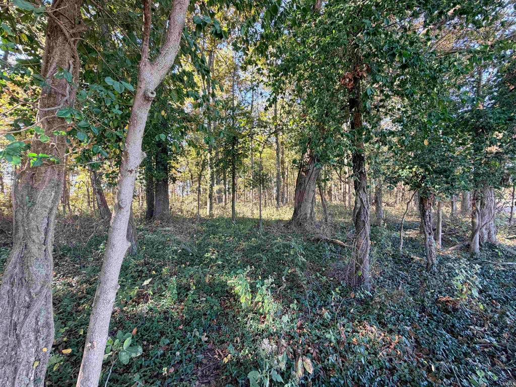 Photo of 13 Acres N 900 W, Jasonville, IN 47438 (MLS # 202643269)