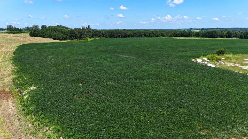 Photo of 26.86+/- Acres S Wampler Road, Bicknell, IN 47512 (MLS # 202629292)