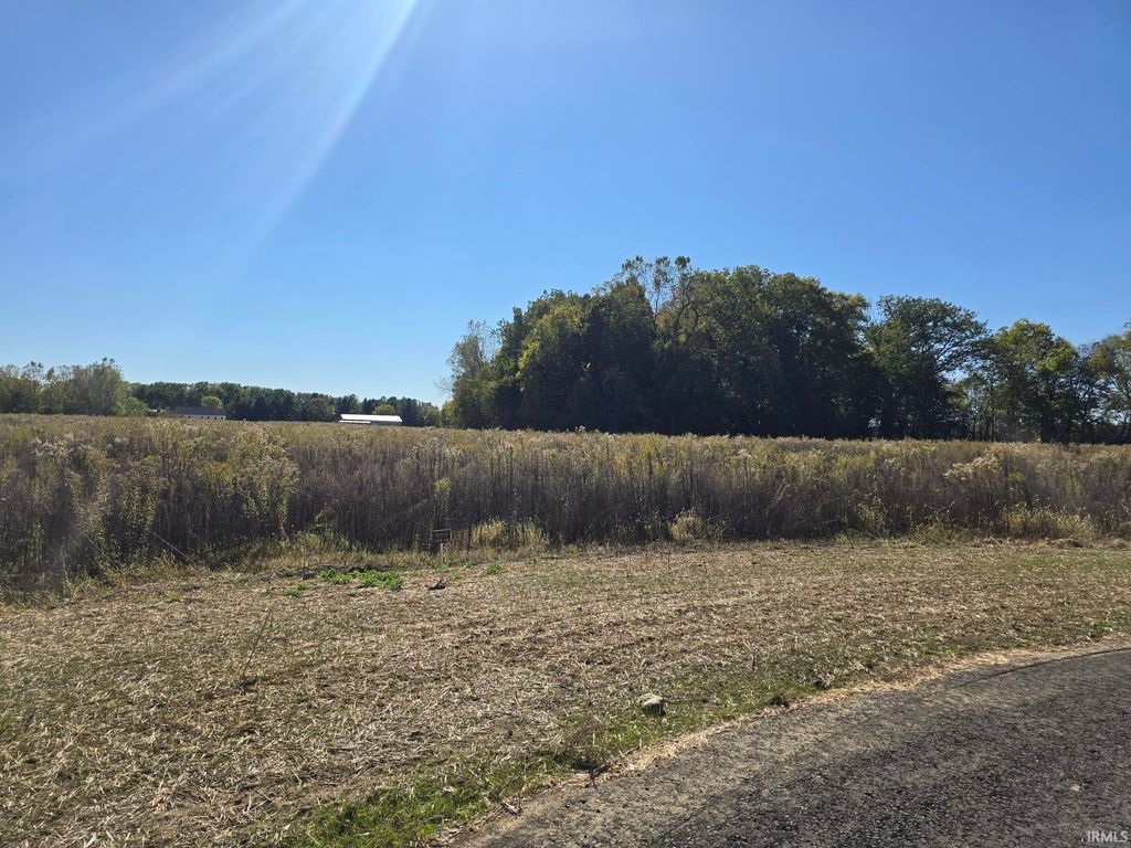 Photo of Lot 12 County Road 17 Drive, Auburn, IN 46706 (MLS # 202541347)