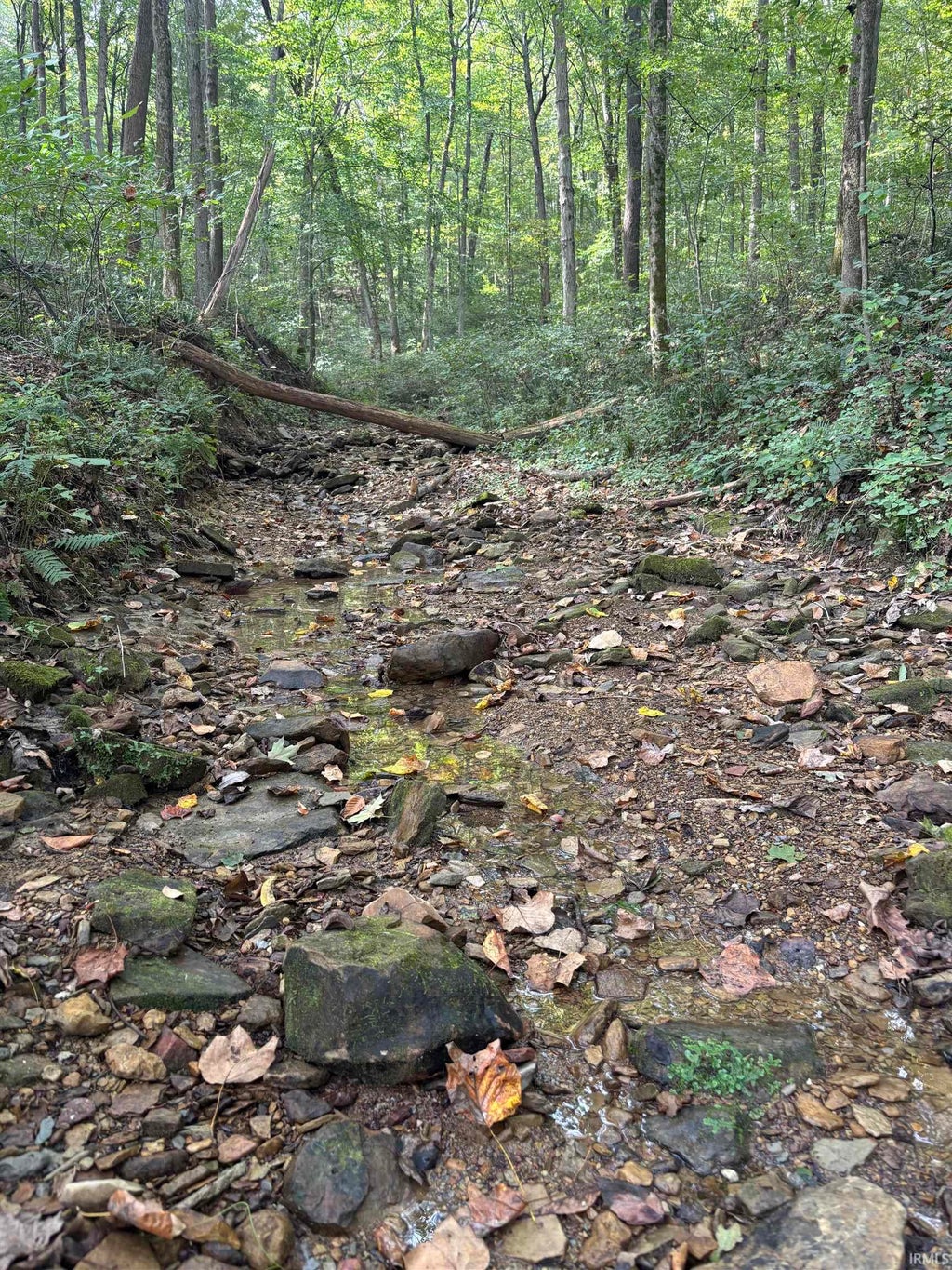 Photo of 0 Clark Cemetery Road, Mitchell, IN 47446 (MLS # 202642773)