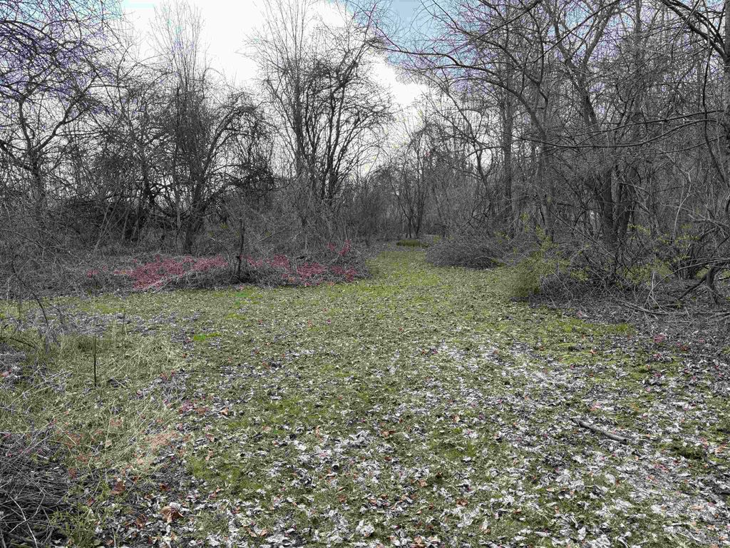 Photo of 0000 Drake Rd I 0000 Drake Rd IN Road, Kendallville, IN 46755 (MLS # 202610928)