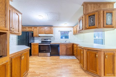 Tiny photo for 3195 W Nevada Mills Road, Fremont, IN 46737 (MLS # 202546551)