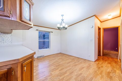 Tiny photo for 3195 W Nevada Mills Road, Fremont, IN 46737 (MLS # 202546551)