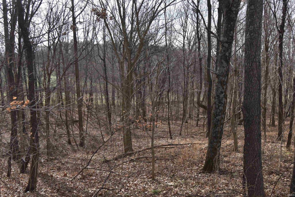 Photo of 0 S 500 E Road, Ferdinand, IN 47532 (MLS # 202601152)