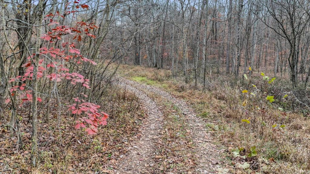 Photo of 31 Poplar Ridge, Springville, IN 47462 (MLS # 202546456)