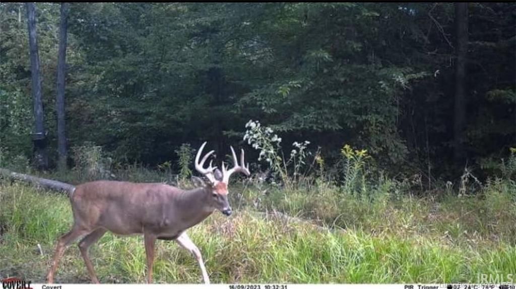 Photo of Lot 2 Deer Creek Road, Cannelton, IN 47520 (MLS # 202629890)