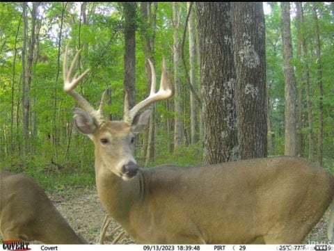Tiny photo for Lot 2 Deer Creek Road, Cannelton, IN 47520 (MLS # 202629890)