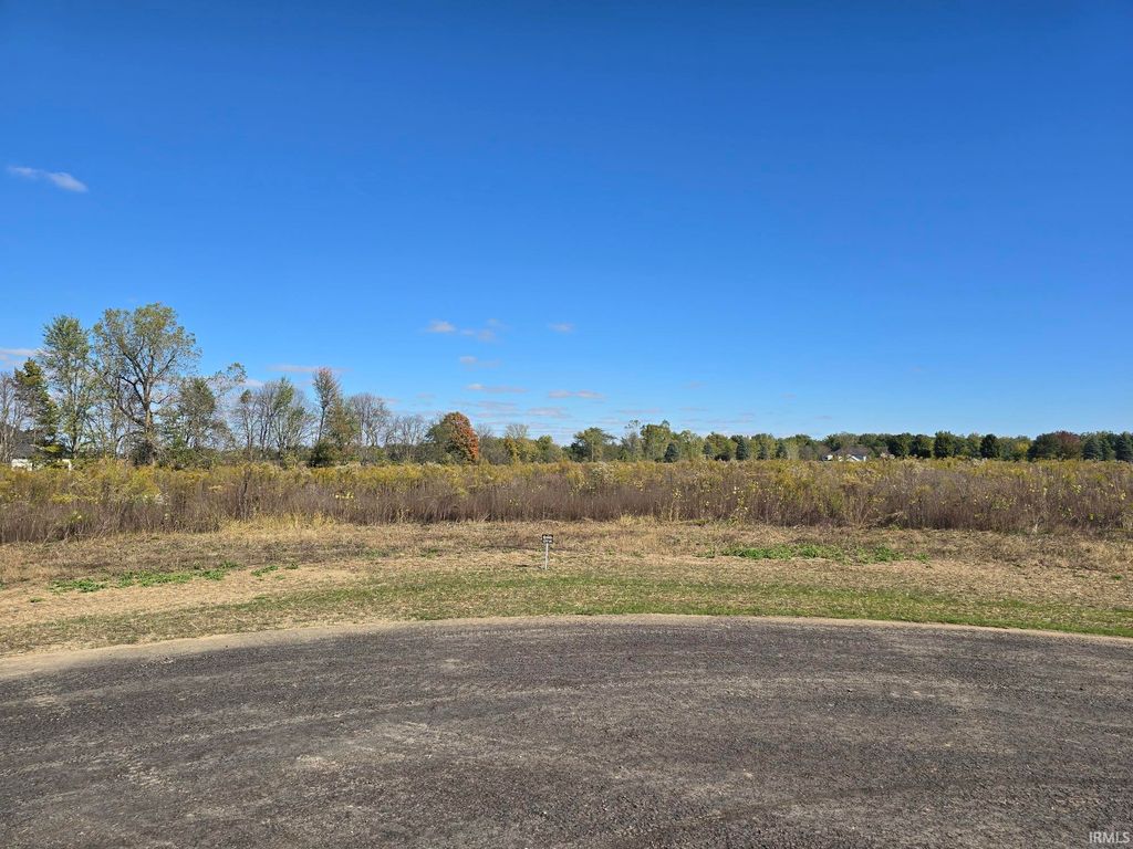 Photo of Lot 6 County Road 17 Drive, Auburn, IN 46706 (MLS # 202541341)