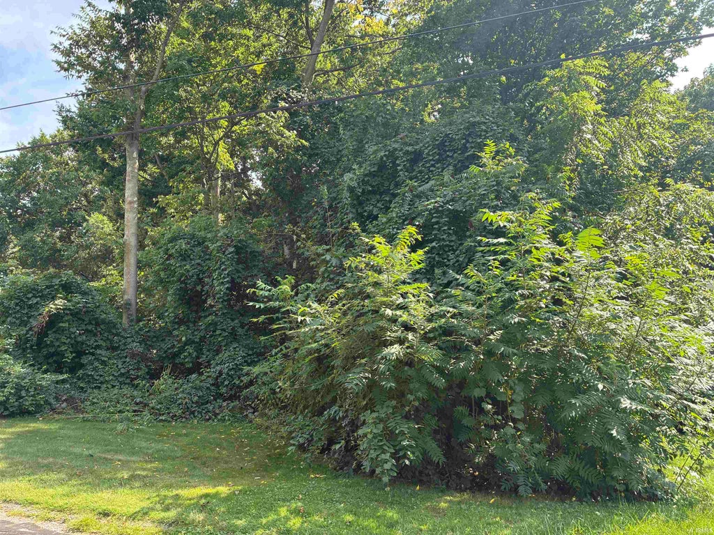 Photo of 602 E Tasher Street, South Bend, IN 46614 (MLS # 202637530)
