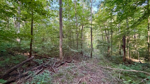 Tiny photo for off Co Rd 750 S, French Lick, IN 47432 (MLS # 202627636)